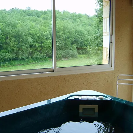 Country house Au Lezard Dore Lamonzie-Montastruc